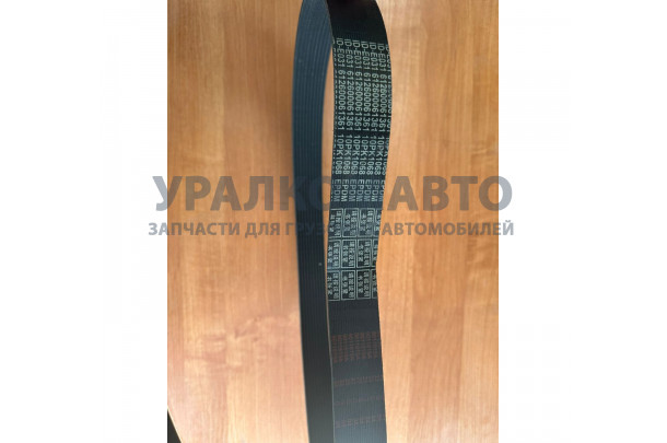 Ремень вентилятора 10PK1068 WP10.336E53