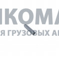 Направляющая клапана WD615 Евро3 (d=9mm)